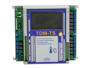 Система TDM-TS